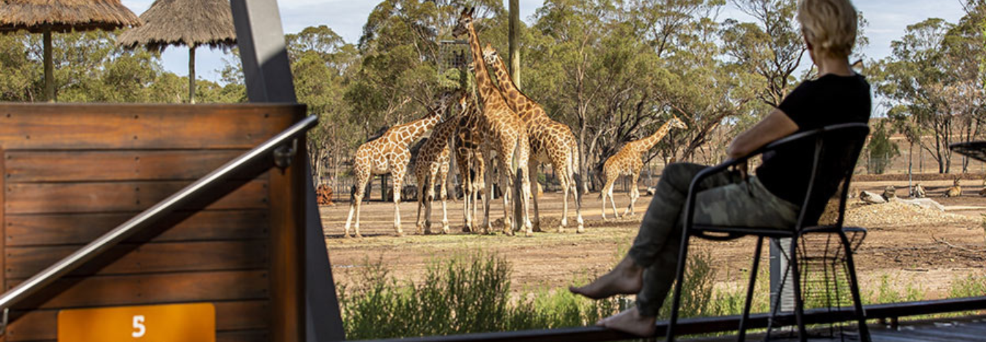 Taronga Zoo, Animal View Room