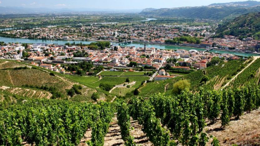 Vineyard, France