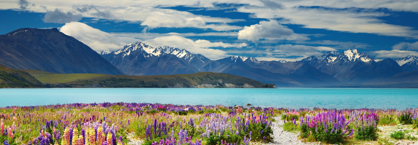 Lake Tekapo